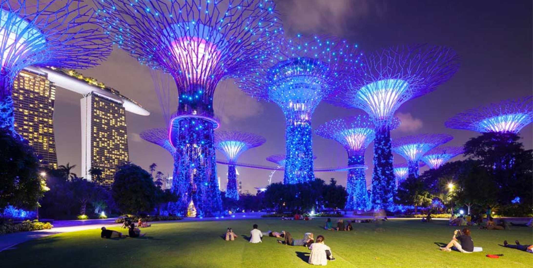 Gardens By The Bay Supertrees Light Show Fasci Garden